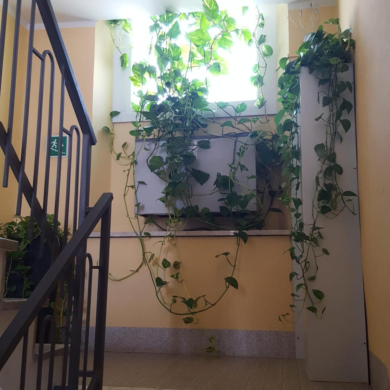 Hotel Calaluna Biella Extérieur photo